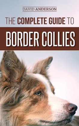 The Complete Guide to Border Collies