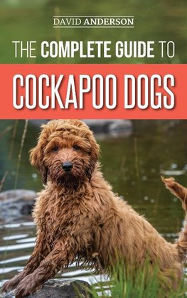 The Complete Guide to Cockapoo Dogs