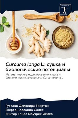 Curcuma longa L.: sushka i biologicheskie potencialy