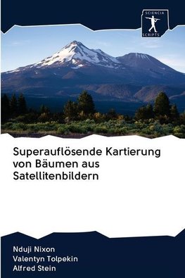 Superauflösende Kartierung von Bäumen aus Satellitenbildern