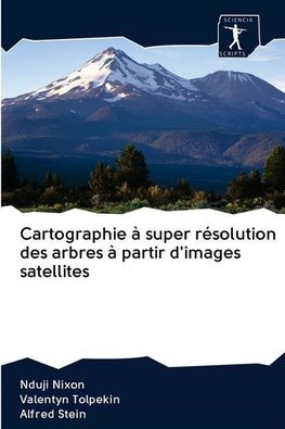 Cartographie à super résolution des arbres à partir d'images satellites