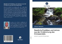 Bewährte Praktiken und Lehren aus der Eindämmung des Klimawandels