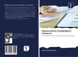 Assicurazione di proprietà in Camerun