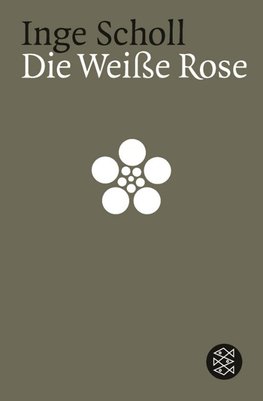 Die weiße Rose