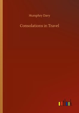 Consolations in Travel