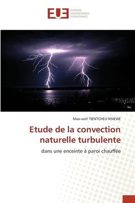 Etude de la convection naturelle turbulente