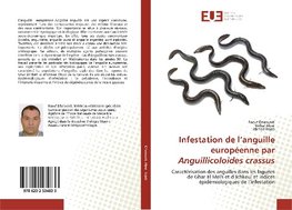 Infestation de l'anguille européenne par Anguillicoloides crassus