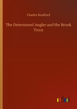 The Determined Angler and the Brook Trout