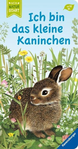 Ich bin das kleine Kaninchen