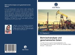 Bohrlochanalyse und geochemische Daten