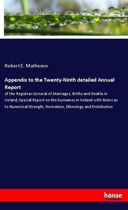 Appendix to the Twenty-Ninth detailed Annual Report