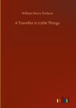 A Traveller in Little Things