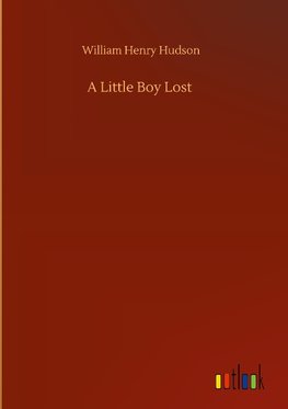 A Little Boy Lost