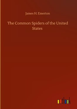 The Common Spiders of the United States