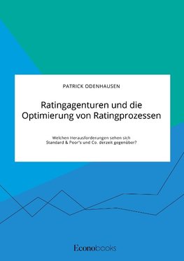 Ratingagenturen und die Optimierung von Ratingprozessen. Welchen Herausforderungen sehen sich Standard & Poor's und Co. derzeit gegenüber?