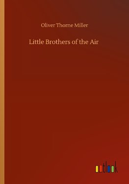 Little Brothers of the Air