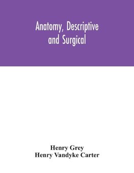 Anatomy, Descriptive and Surgical