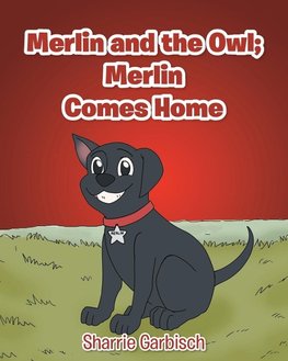 Merlin and the Owl