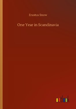 One Year in Scandinavia