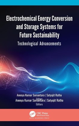 Electrochemical Energy Conversion and Storage Systems for Future Sustainability