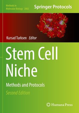 Stem Cell Niche