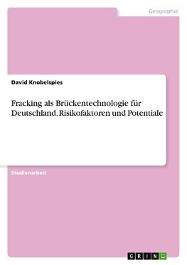 Fracking als Brückentechnologie für Deutschland. Risikofaktoren und Potentiale