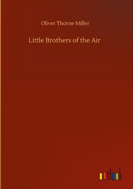 Little Brothers of the Air