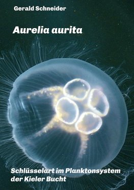 Aurelia aurita