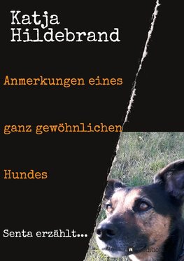 Anmerkungen eines ganz gewöhnlichen Hundes