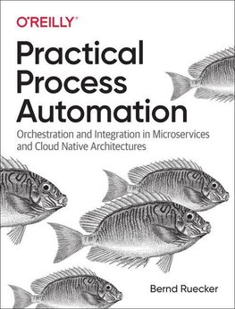 Practical Process Automation