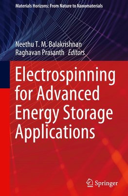 Electrospinning for Advanced Energy Storage Applications