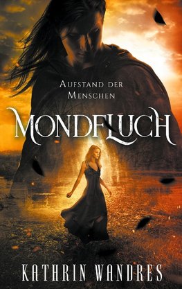 Mondfluch 3