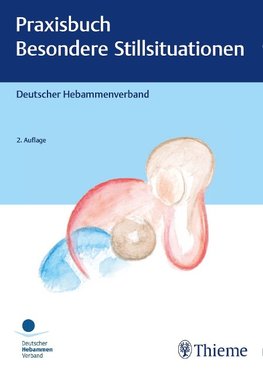 Praxisbuch: Besondere Stillsituationen