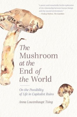 Mushroom at the End of the World