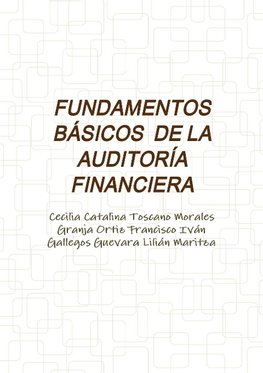 FUNDAMENTOS BÁSICOS  DE LA AUDITORÍA FINANCIERA