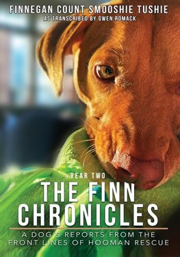 The Finn Chronicles