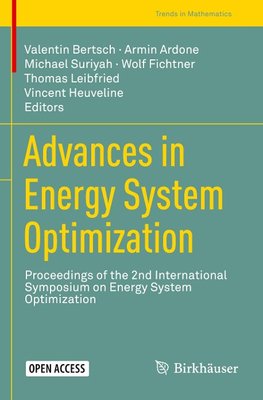 Advances in Energy System Optimization