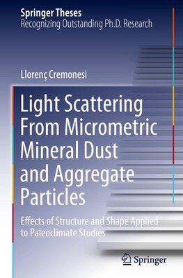 Light Scattering From Micrometric Mineral Dust and Aggregate Particles