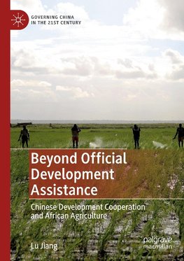 Beyond Official Development Assistance