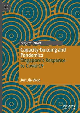 Capacity-building and Pandemics