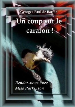 Un coup sur le carafon !