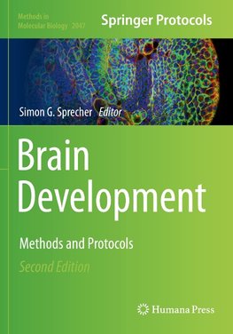 Brain Development