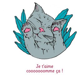 Je t'aime cooooooomme ça ! - Illustré par Anne Bory