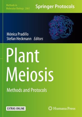 Plant Meiosis