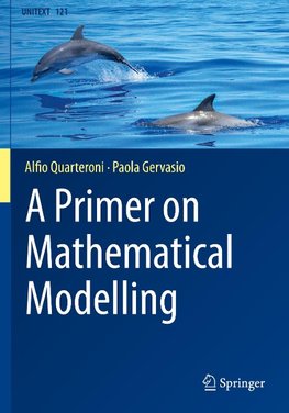 A Primer on Mathematical Modelling