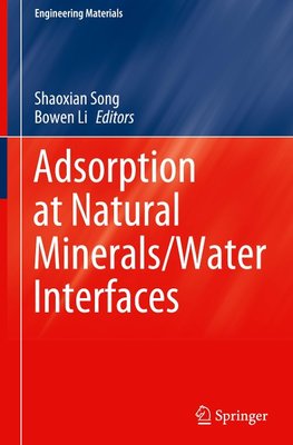 Adsorption at Natural Minerals/Water Interfaces