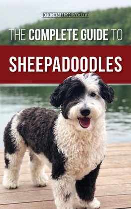 The Complete Guide to Sheepadoodles