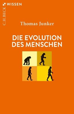 Die Evolution des Menschen