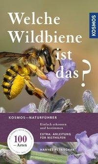 Welche Wildbiene ist das?