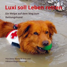 Luxi soll Leben retten